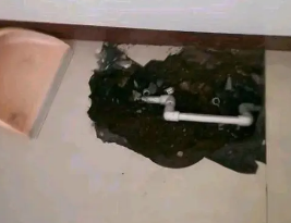 湘潭卫生间测漏水多少钱